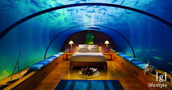 Airbnb For Cars >> Extravagant Home Aquariums That Put Your Tiny Fishbowl to Shame - The Ultimate Bubble Bath | Guff Airbnb For Cars >> Extravagant Home Aquariums That Put Your Tiny Fishbowl to Shame - The Ultimate Bubble Bath | Guff