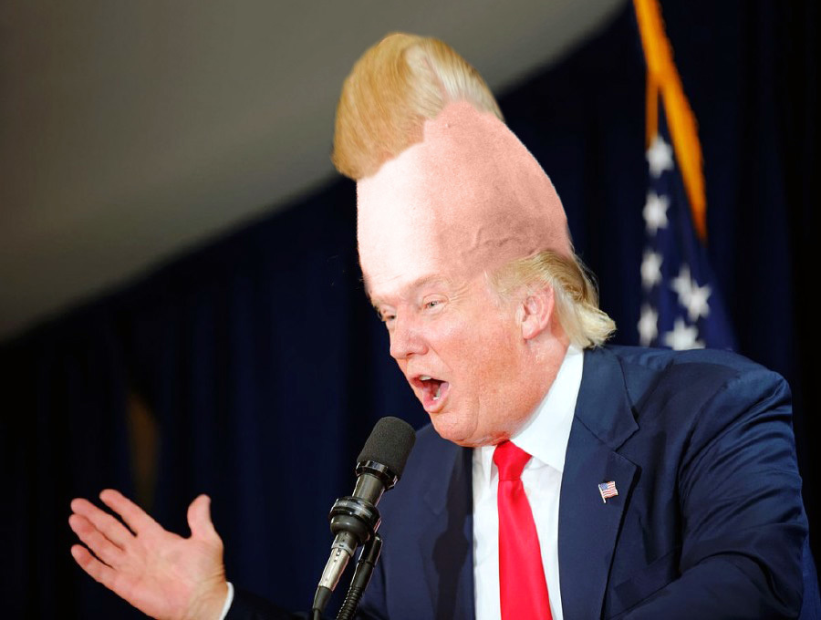 Things We Photoshopped On Donald Trump's Head - Shocker | Guff