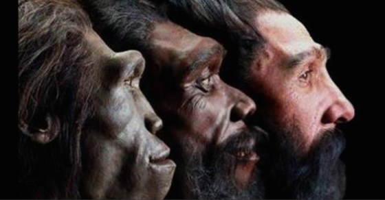 Are C-sections changing human evolution Are C-sections changing human evolution