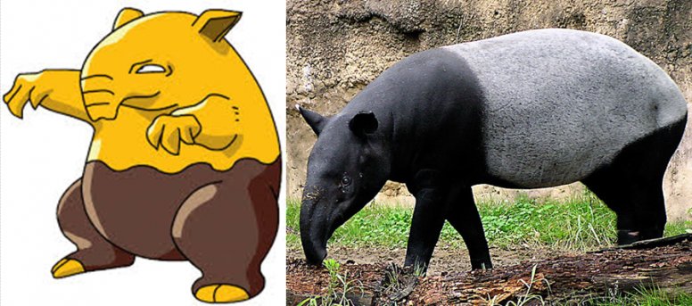 Pokemon That Were Actually Inspired By Real World Animals - Did You