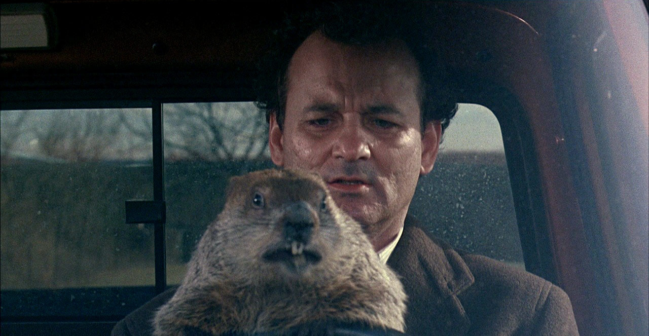 groundhog day travolta completely groundhog day facts facts about groundhog day travolta completely groundhog day facts facts about