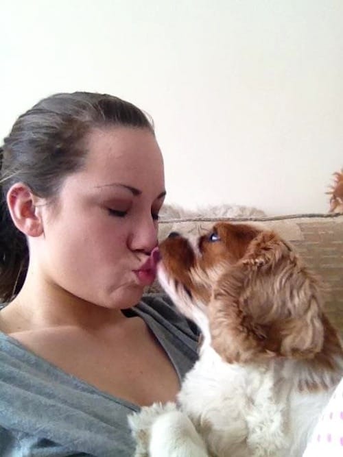 Can Dogs Catch A Cold Sore Can Dogs Catch A Cold Sore