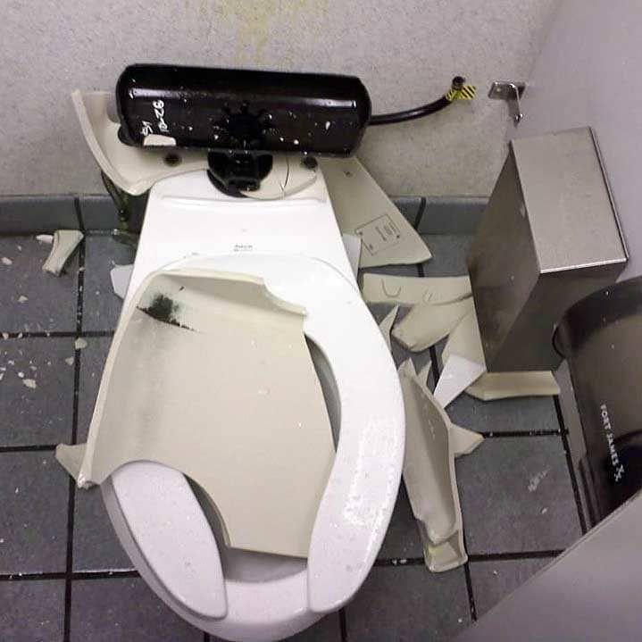 These People Found Some Extremely Disturbing Things in Their Toilets (Besides the Obvious