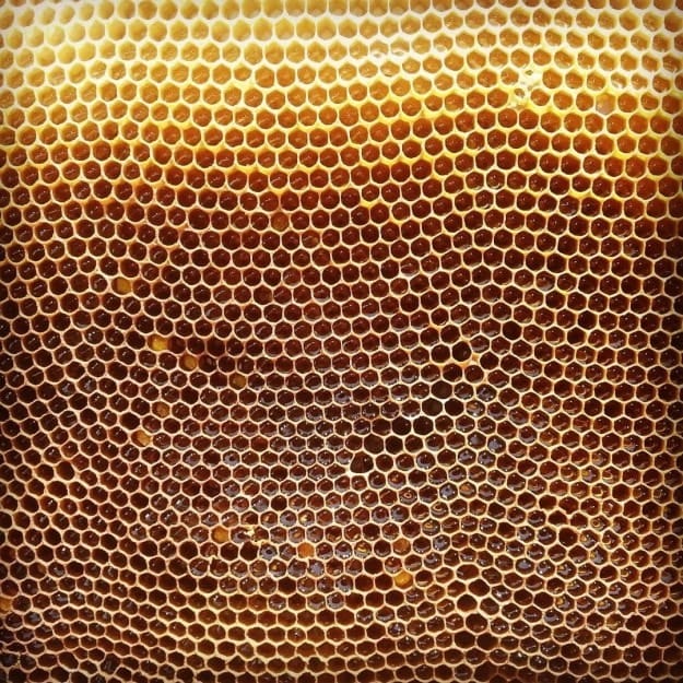 List 91+ Pictures Fear Of Small Holes Grouped Together Latest