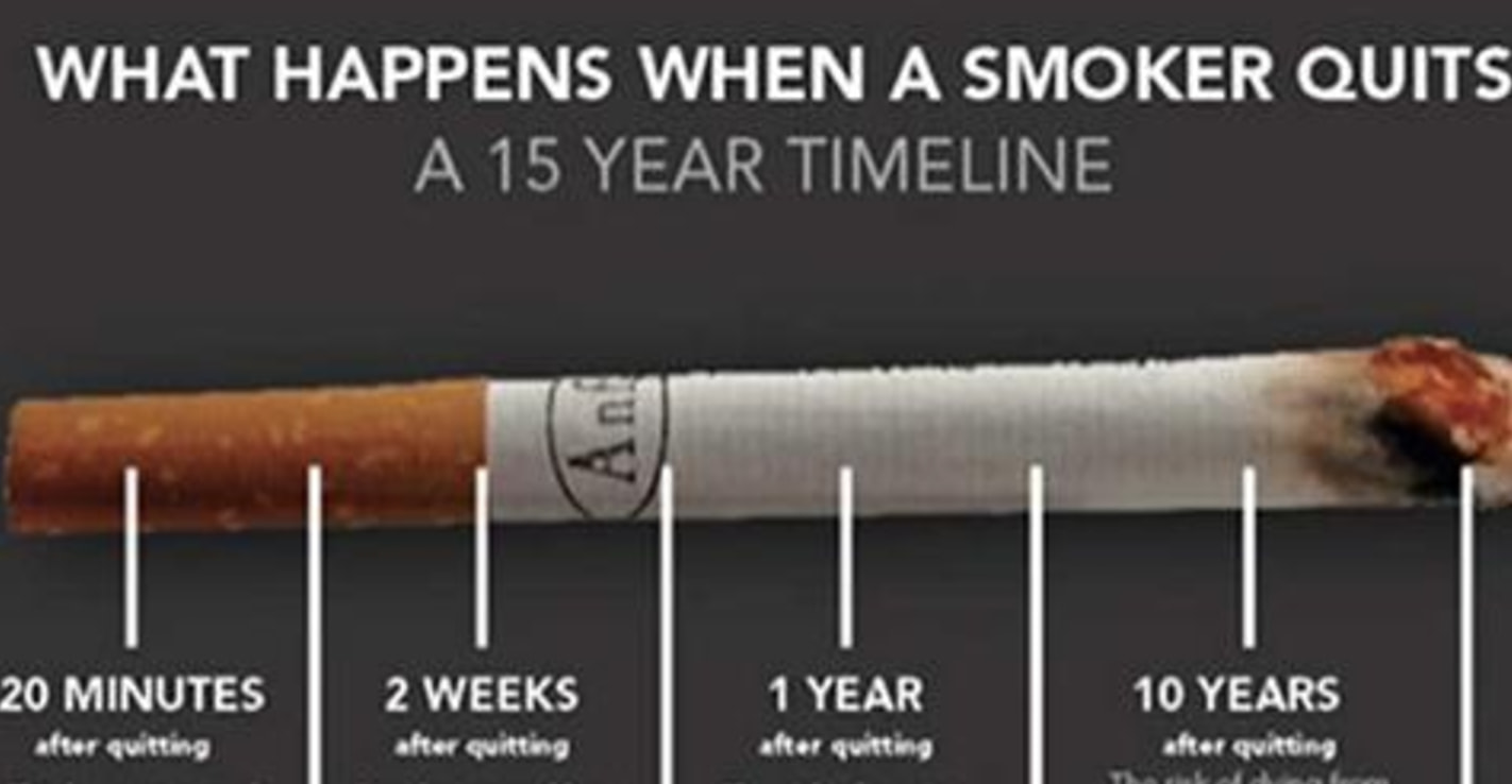 15 Amazing Facts About The Human Body That We Never Knew Ears And Our