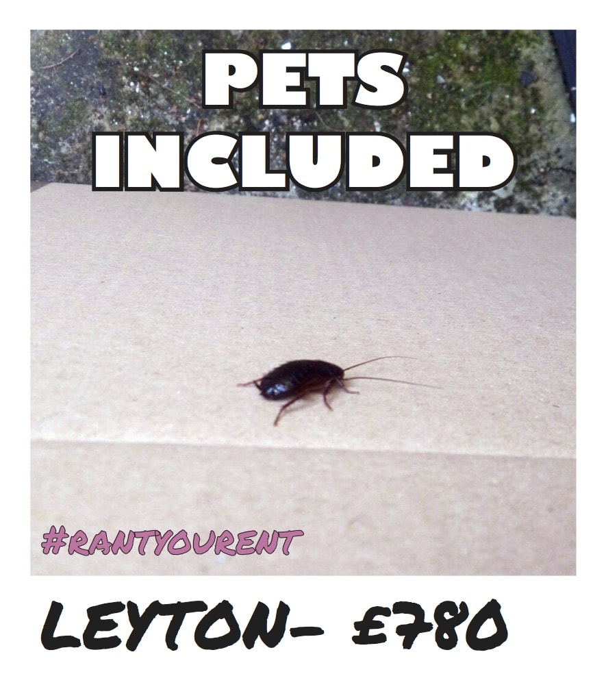 These Renters Are Shaming Their Landlords Who�ve Ripped