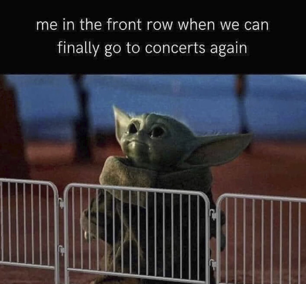 These Concert Memes Will Bring You Back To When Concerts Were A Thing