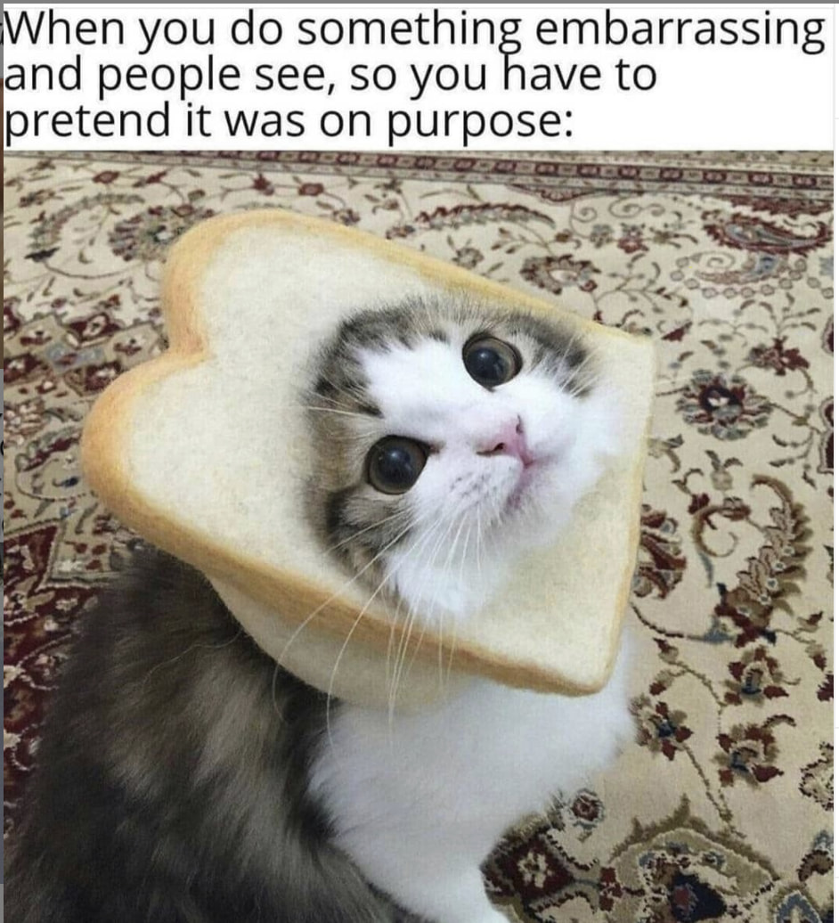 Cute Animal Memes