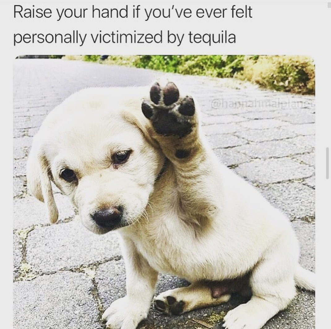 These Tequila Memes Are For Those Who Love To See Double Easy Peasy