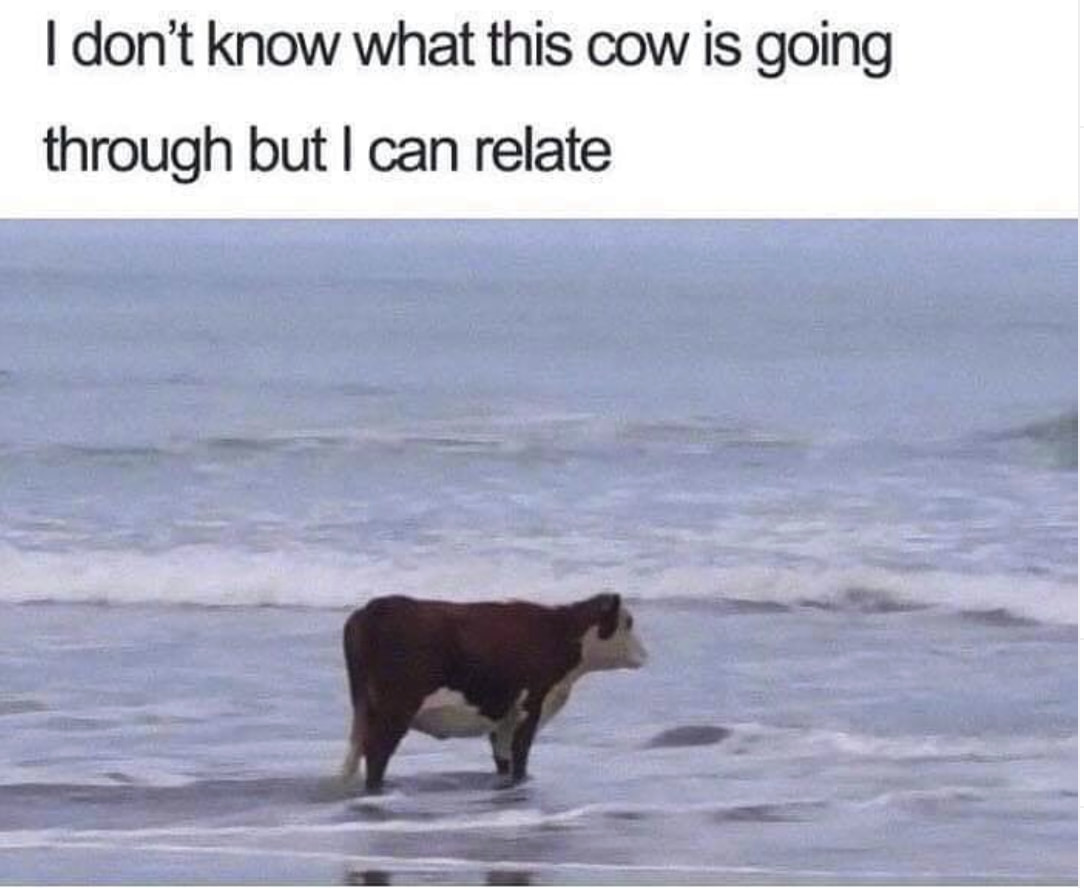 Here Are Some Beach Memes Because It s Hot AF Outside Thank You Meme Memes