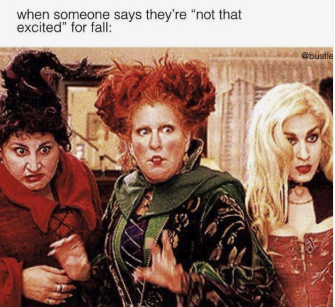 Some Fall Memes To Totally Fall For Halloween Party Time Memes