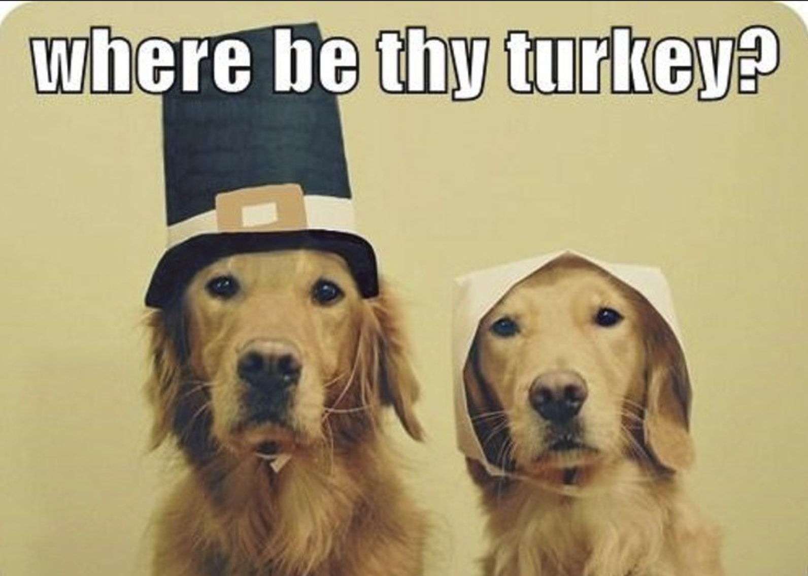 These Turkey Memes Will Make You Gobble Gobble What WAP Stands For
