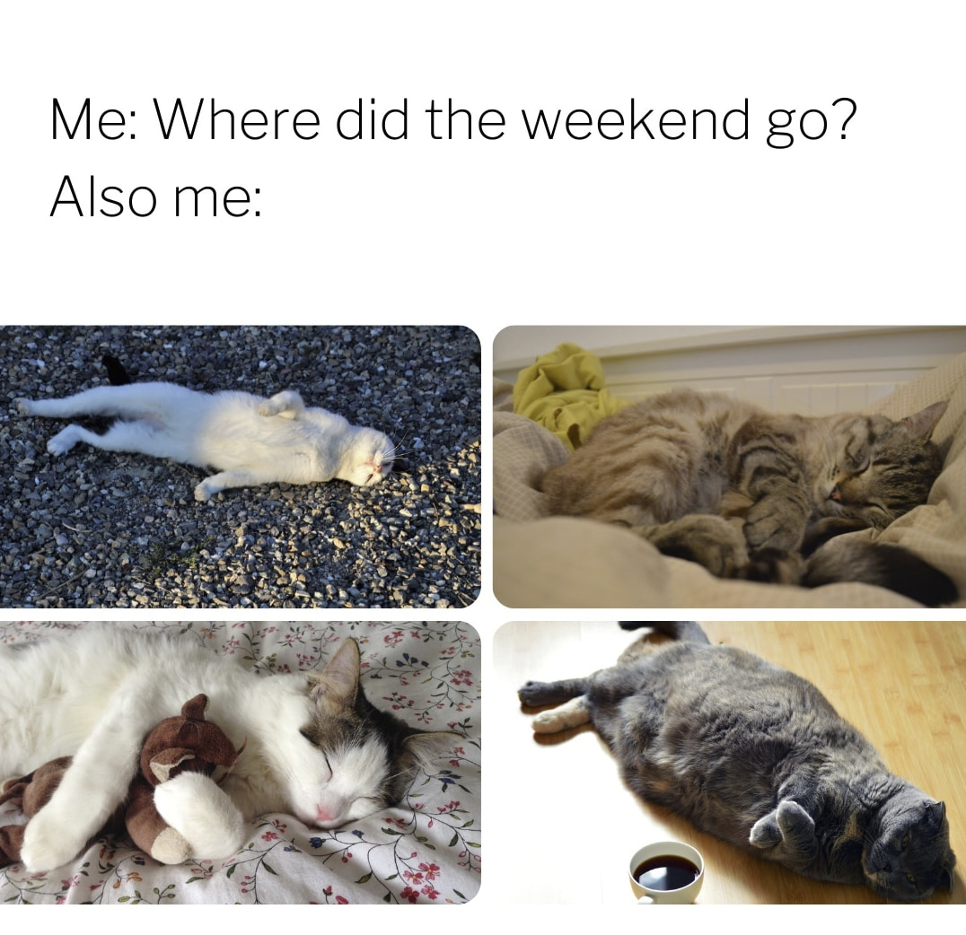 These Weekend Memes Will Give You Life Time To Sleep In! Memes