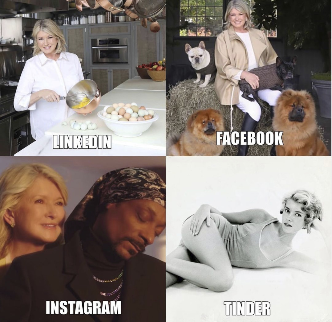 “LinkedIn, Facebook, Instagram, Tinder” Memes For You Social Media