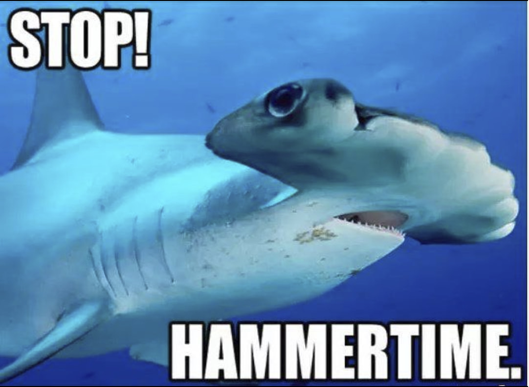 These Shark Memes Are In Honor Of Beloved 'Shark Week' Happy 'Shark