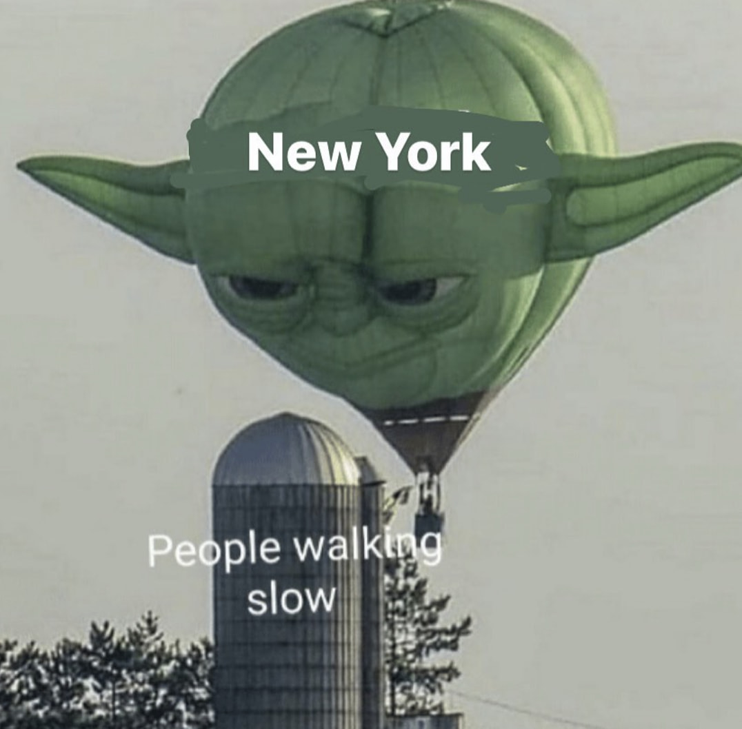 These New York Memes Are What Dreams Are Made Of Start Spreading The News Memes