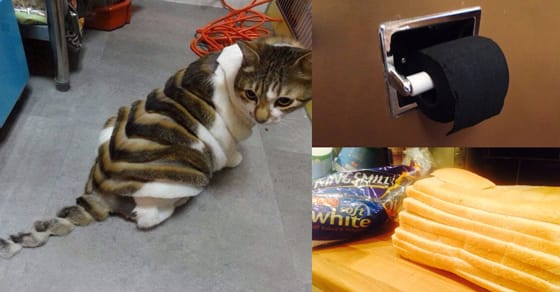 These Things Will Make You Feel Very Uncomfortable for ...