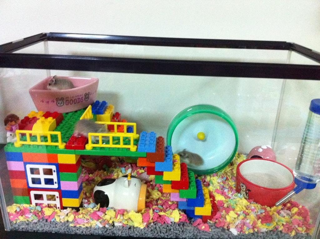lego hamster house
