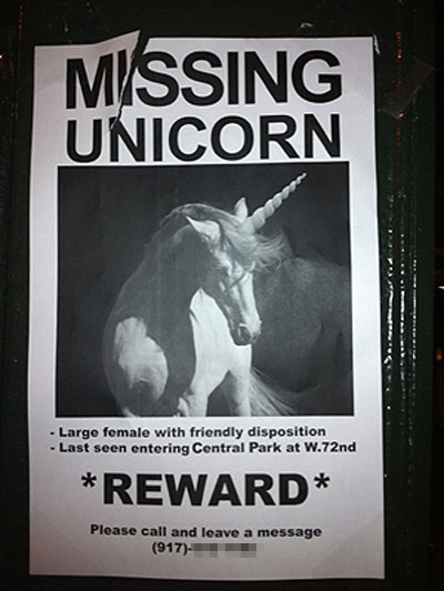 Funny Missing Pet Signs Awesome Kitty Guff Funny Missing Pet Signs Awesome Kitty