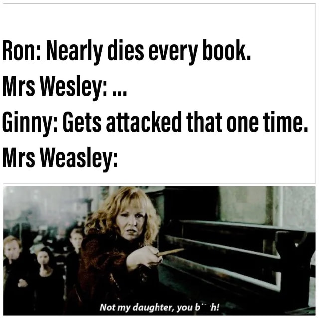 Clean Harry Potter Memes - -Unofficial Weasley