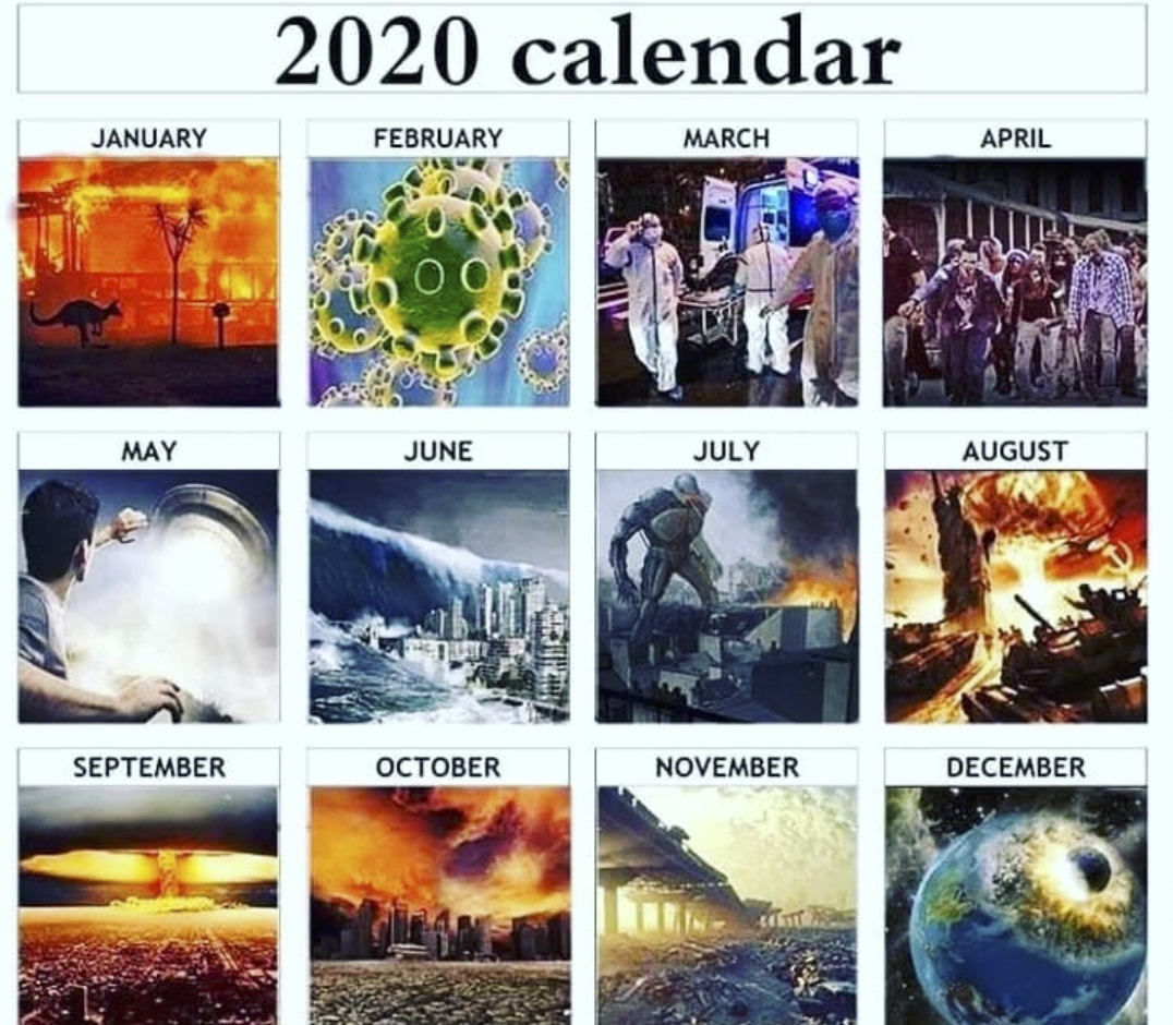 These Are The 2020 Memes That Have Defined Us So Far It s The End 