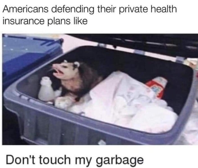 Memes About The Presidential Election That Ll Entertain And Inform Presidential Race Update Memes