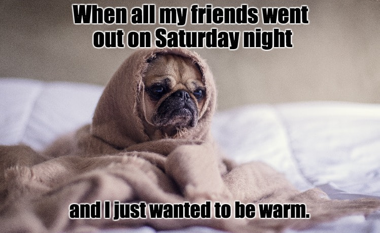 Saturday Memes Are The Best Of The Week - Saturdays | Memes