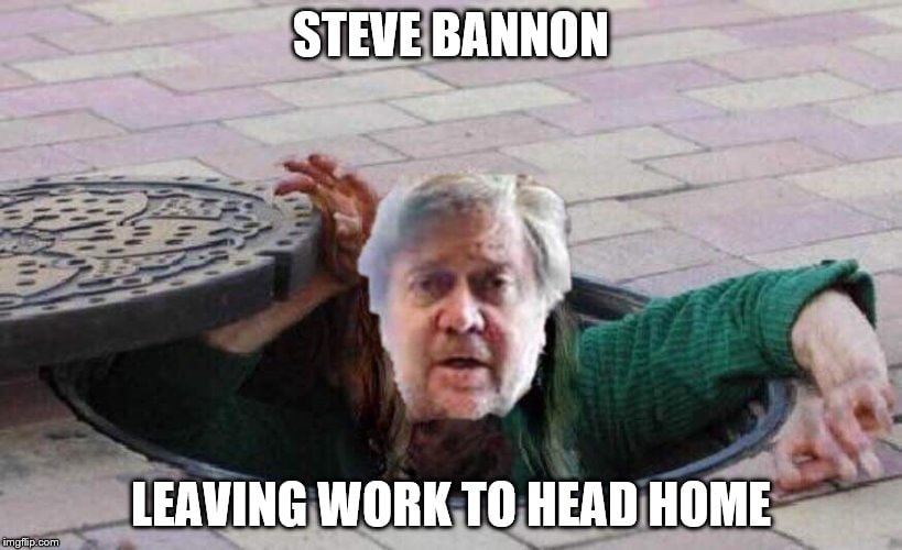 These Steve Bannon Memes Will Give You Delicious Schadenfreude - Steve Bannon | Memes
