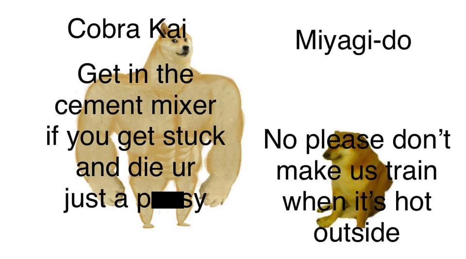Cobra Kai Memes That Strike First And Strike Hard Cobra Kai Memes