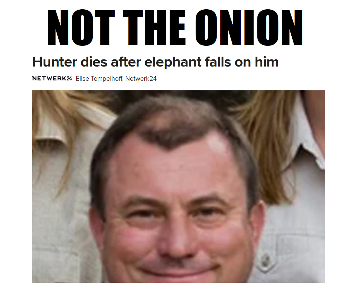 Sadly These Memes Are Not The Onion Not The Onion Memes