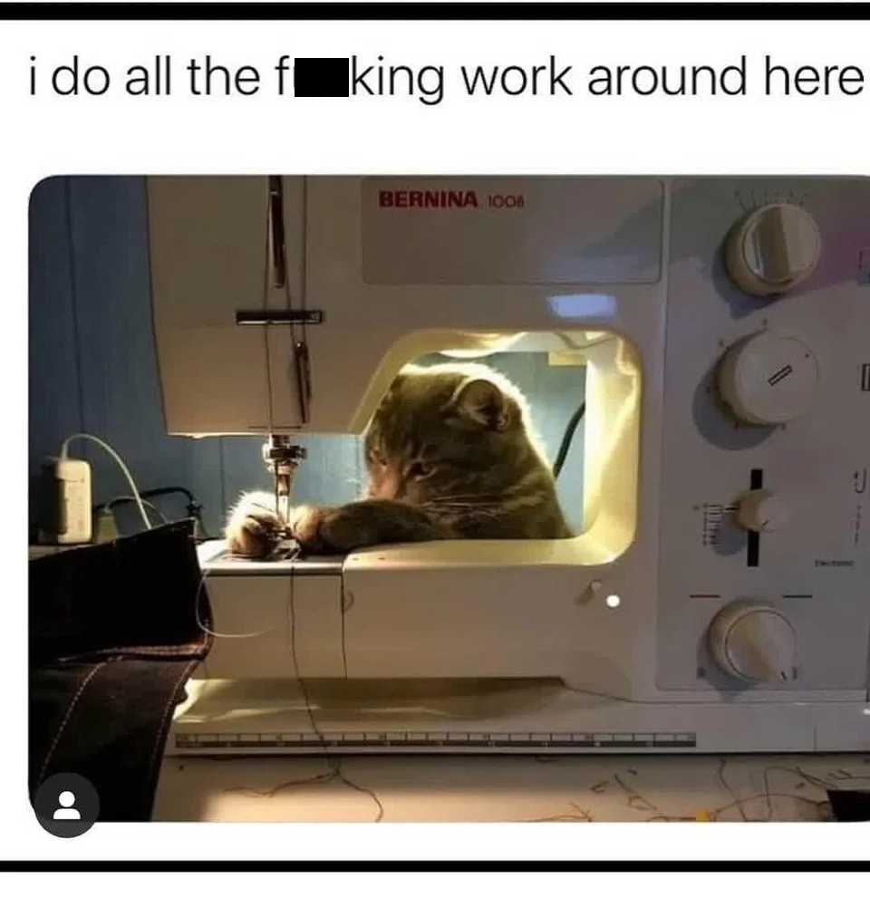 These Memes About Cats With Jobs Are Purrfection Cats With Jobs Memes