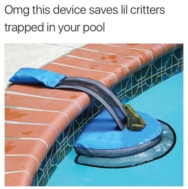 Pool Memes Just In Time For Summer Parties Pools Memes