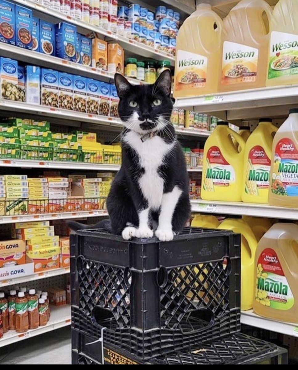 Crate Memes Crate Challenge Memes Memes