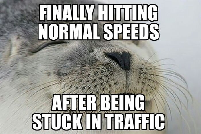 Satisfied Seal Memes That'll Make You Say, 'Awwwww Yeeeeah' - Satisfied Seal  | Memes