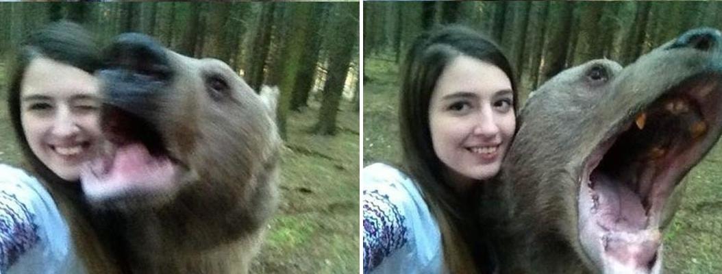 View Pic Or It Didn't Happen Meme Gif